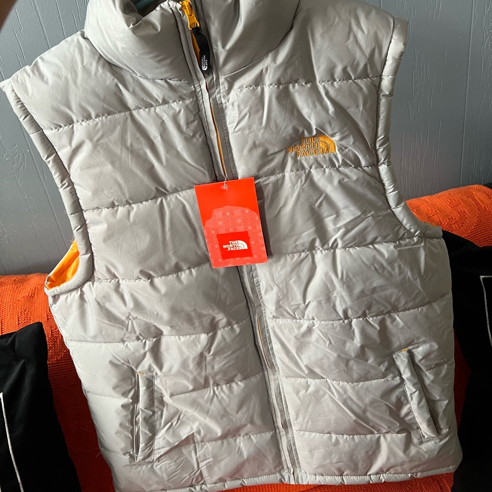 The north face vest
